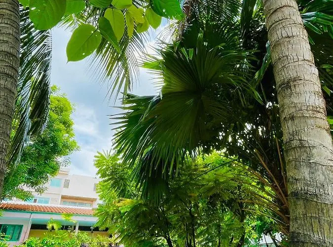The Backyard 28 Bangkok
